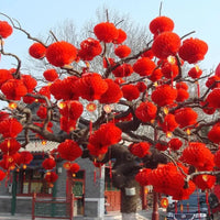 Boules Chinoises Papier Rouges Imperméables