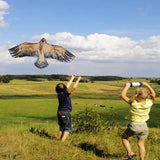 Cerf Volant Chinois Aigle Doré