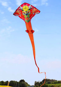 Cerf-Volant Chinois Dragon Longue Ligne